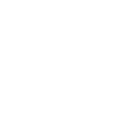 Icon representing the world