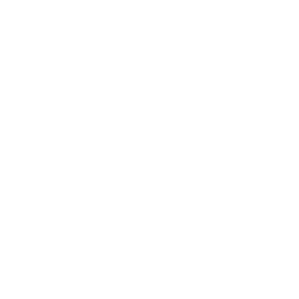 Icon representing the world Icon representing the world